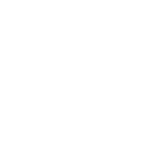 Brightsign_logo_500x500